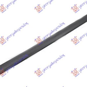 LAJSNA ZADNJIH VRATA