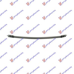 SINA PREDNJEG BRANIKA